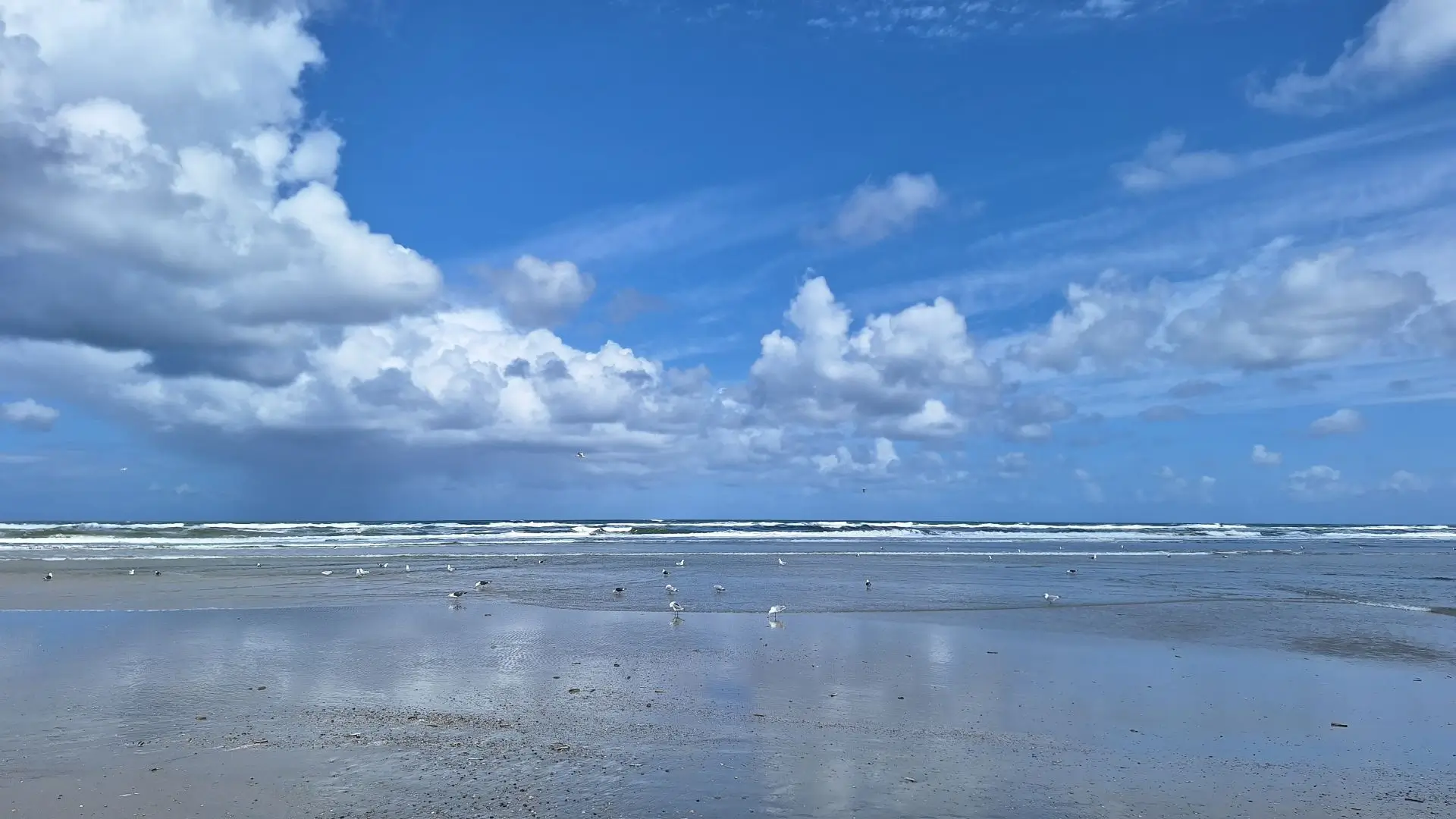Julia Engels steht am Strand in einer dicken Jacke mit ausgebreiteten Armen und einem Lachen im Gesicht, über ihr ein blauer Wolkenhimmel