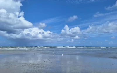 Weshalb alle Gefühle wichtig sind – selbst die ungeliebten