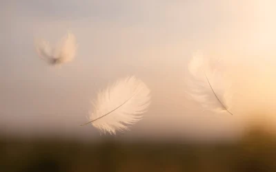 Loslassen – der Raum, in dem Neues entsteht