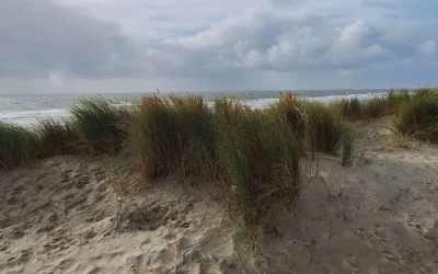 Das leise Wachsen – wie Entwicklung sich wirklich zeigt