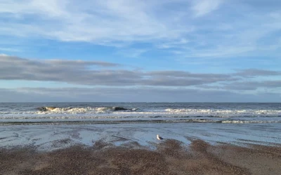 Vom Rennen zur Ruheliebhaberin – Selbstführung beginnt mit Hinspüren